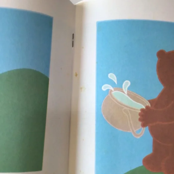 Skyfire Frank Ásch Paperback Scholastic Reading Rainbow Children Picture Book - Picture 6 of 6